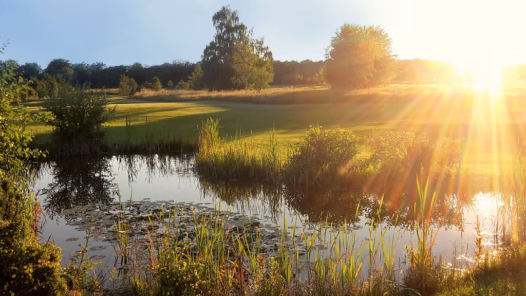 Laudensacks Parkhotel & Retreat - Luxushotel Bad Kissingen - Hotel und Aufenthalt - Blog - Aktivitäten - Golfhotel Bayern